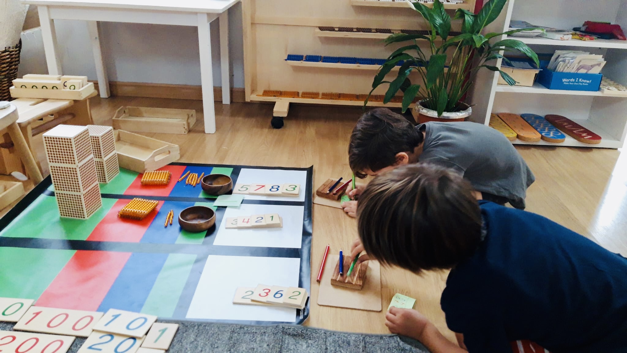 0514fd94-cb40-4b7e-9baf-b857ef687302