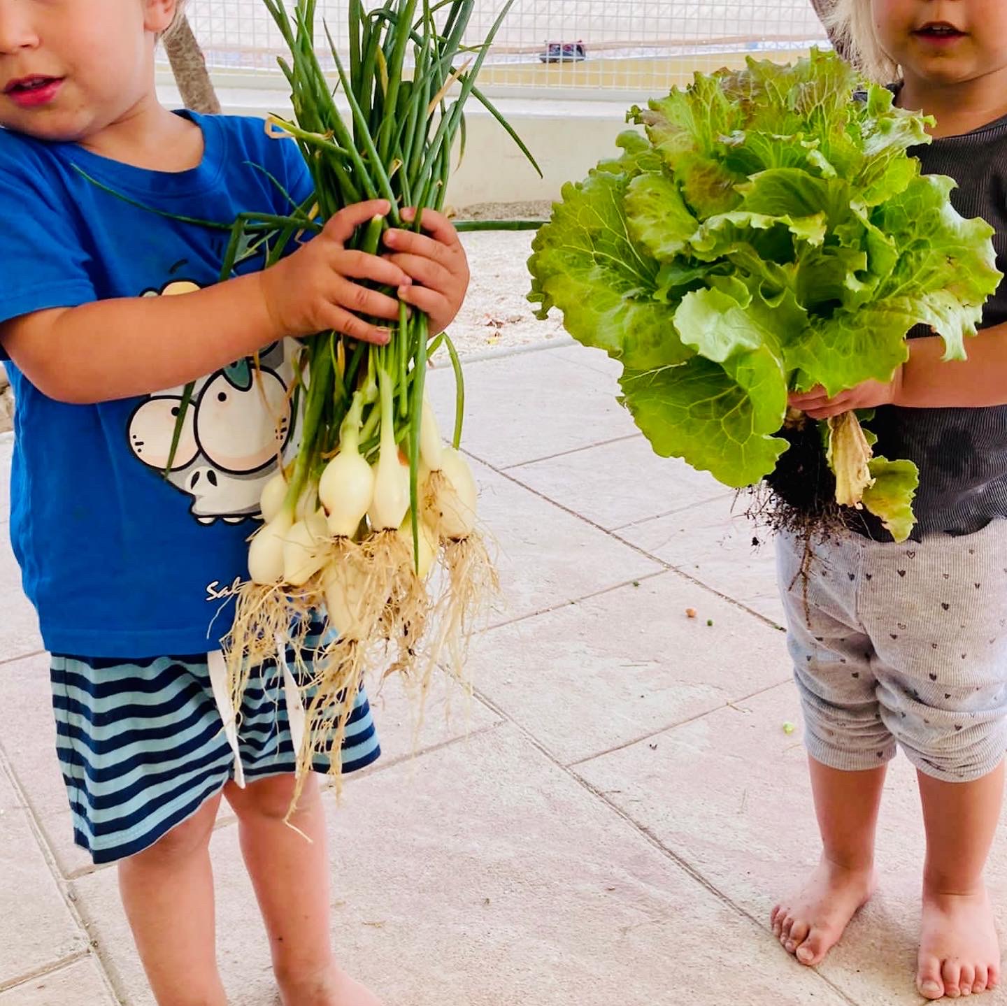 16552B49-B926-4741-860B-E39547BBF7DD