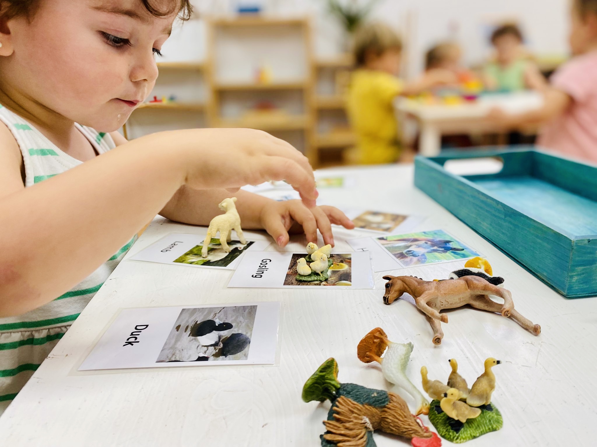 2453d8b6-3ad8-4c99-bb78-7648634d78fe