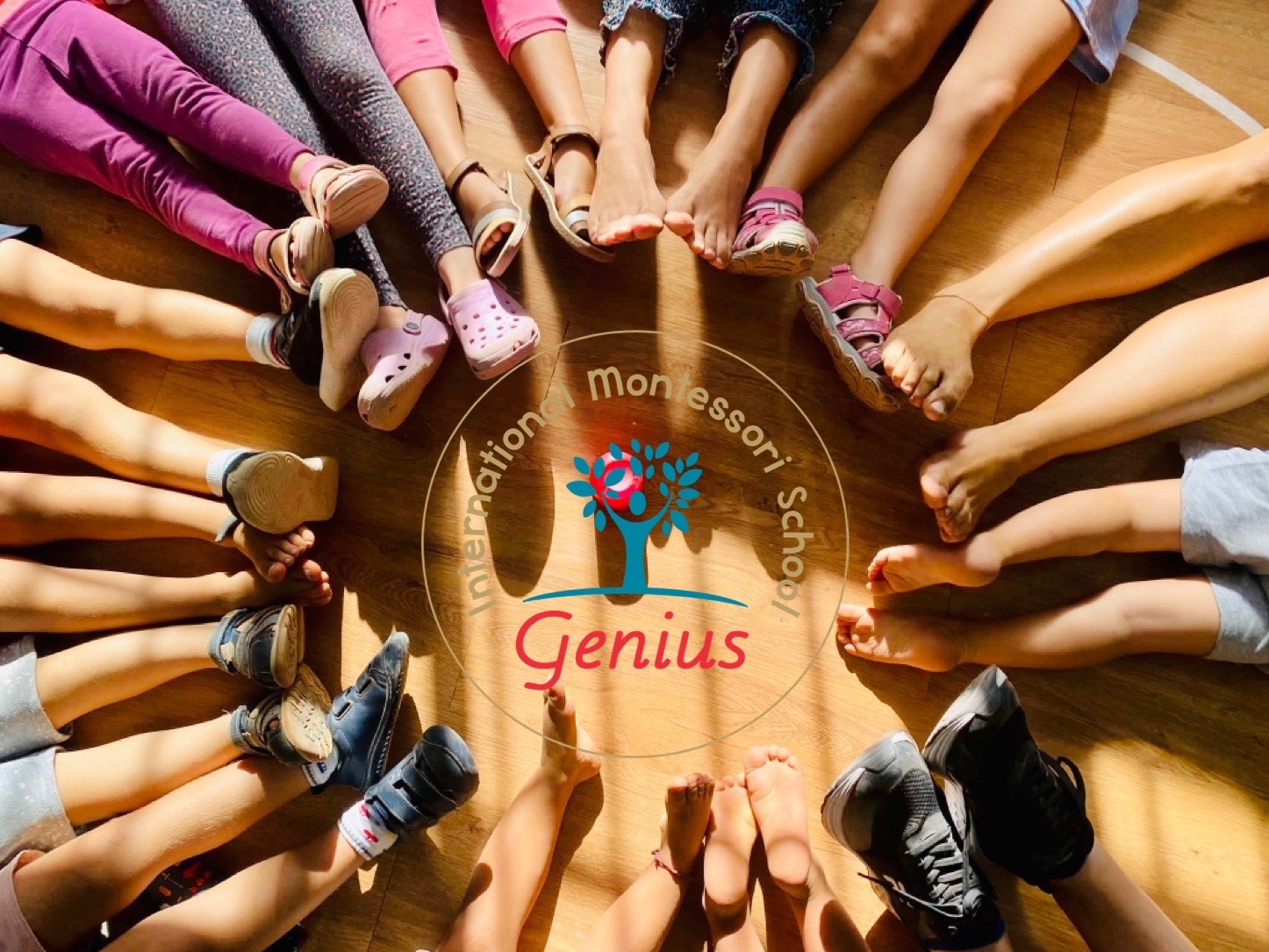 C7E8EF2B-ED1B-41D9-8966-8A84AA2C8BDA